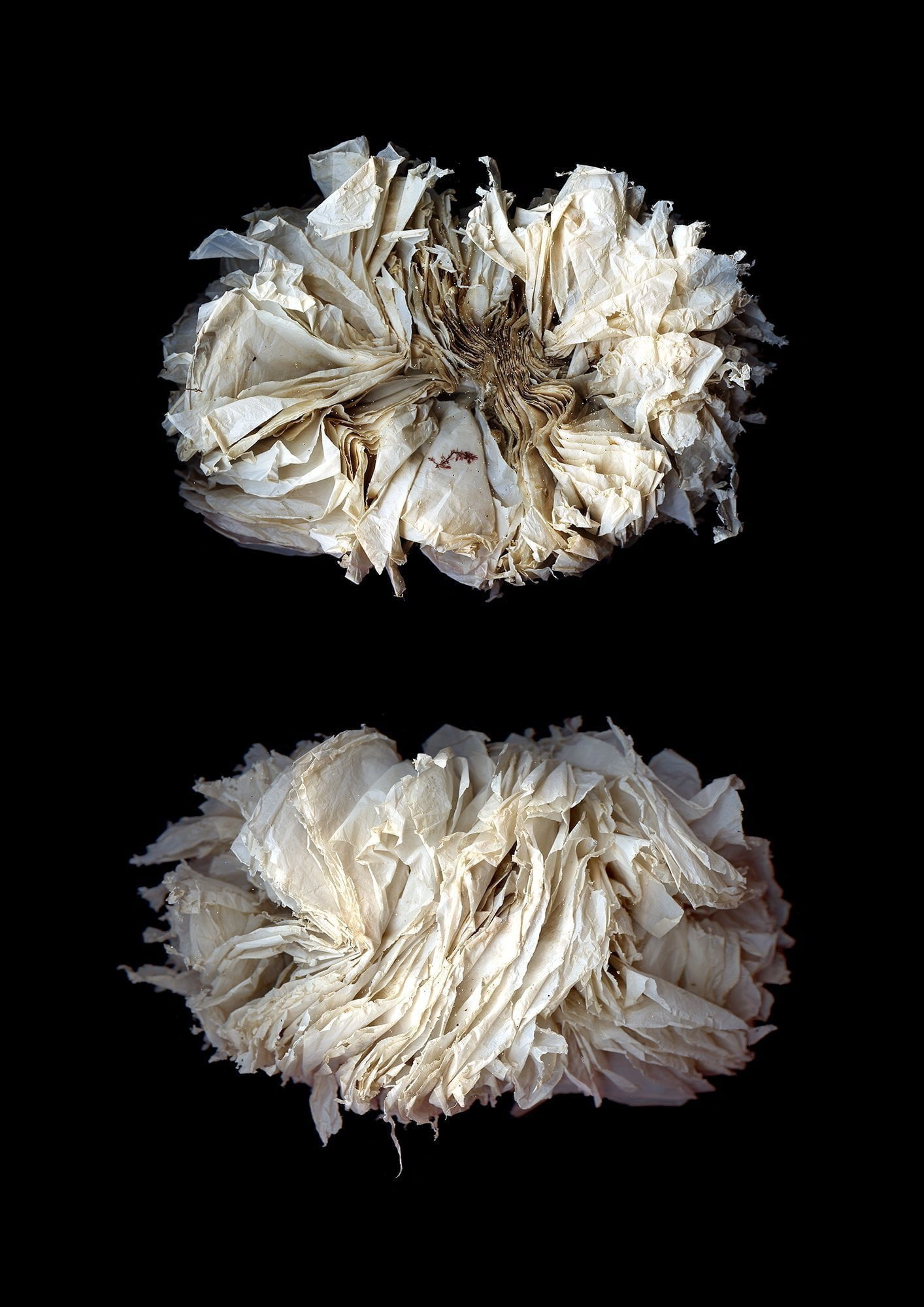 photo of plastic