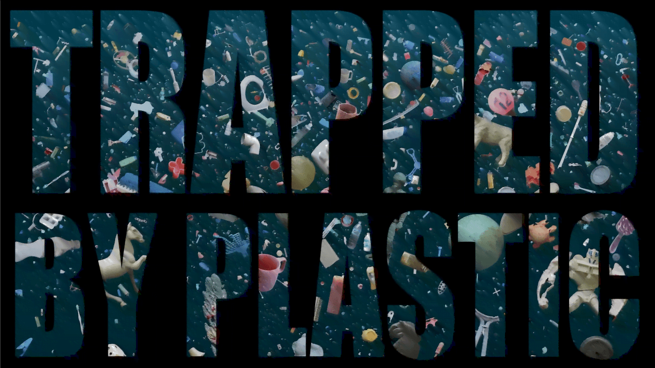 trapped by plastic title still